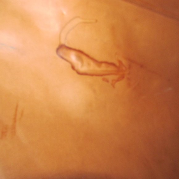 HARTMANN GARMENT BAG CARRY ON LUGGAGE LEATHER 4 SUITER EXTRA PACKING SPACE. - Picture 5 of 16